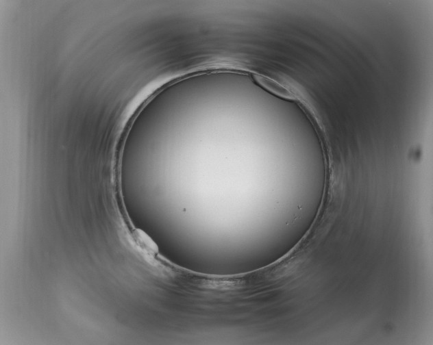 X0000113071339200909110931