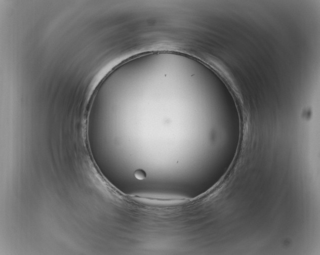 X0000113071340200909110931