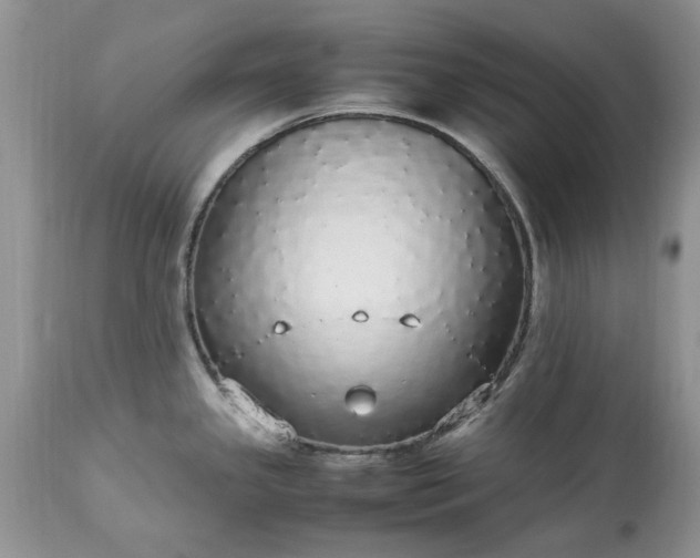 X0000113071341200909110931