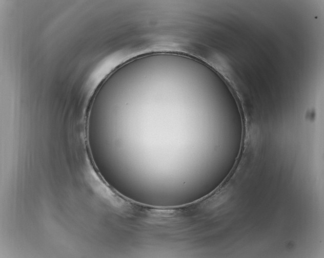 X0000113071342200909110931