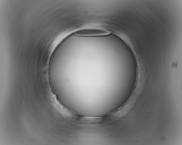 X0000113071344200909110931