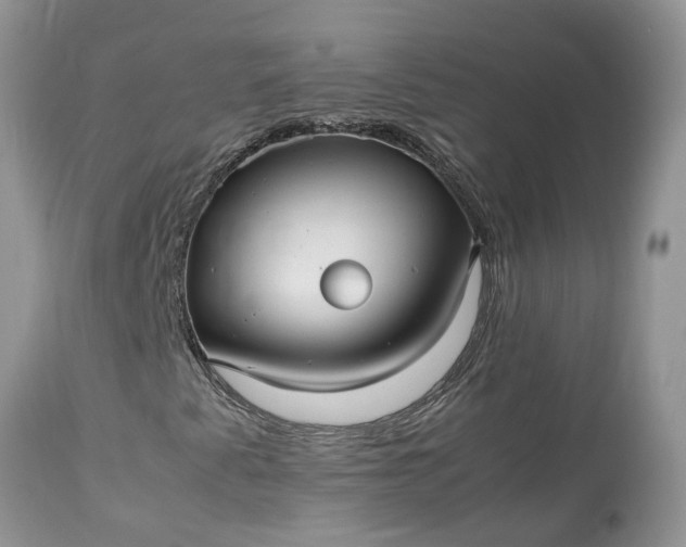 X0000113071345200909110930