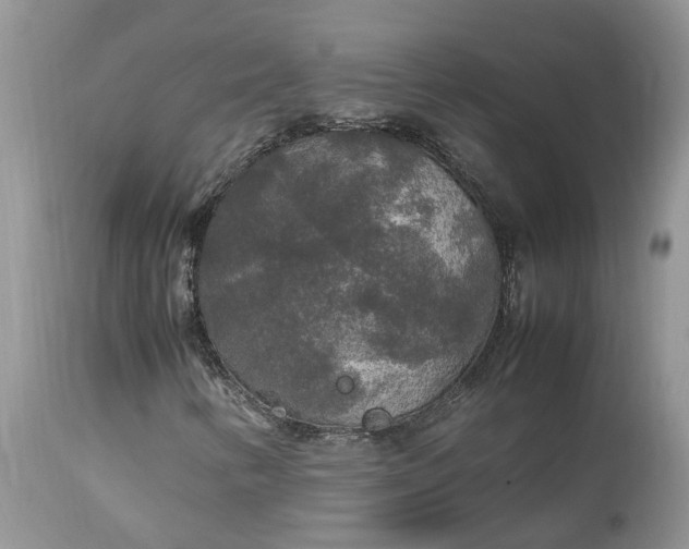 X0000113071346200909110930