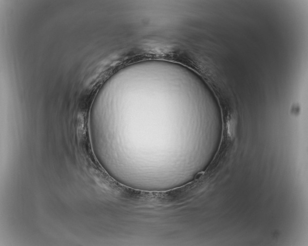 X0000113071347200909110930