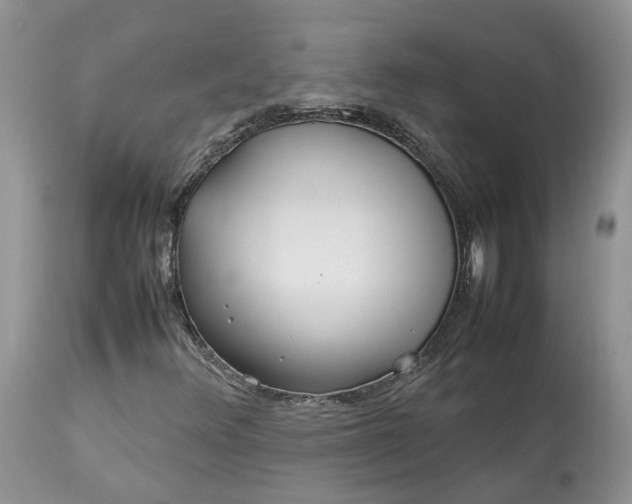 X0000113071348200909110930