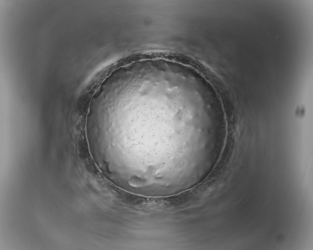 X0000113071351200909110930