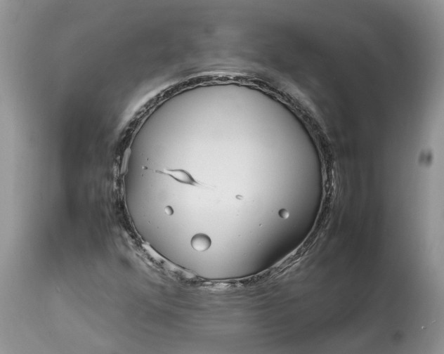 X0000113071352200909110930