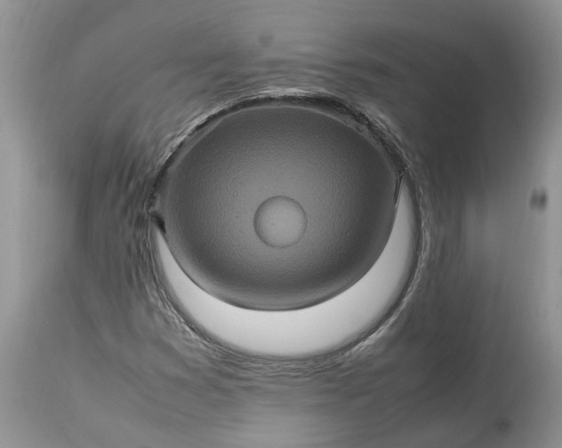 X0000113071353200909110930