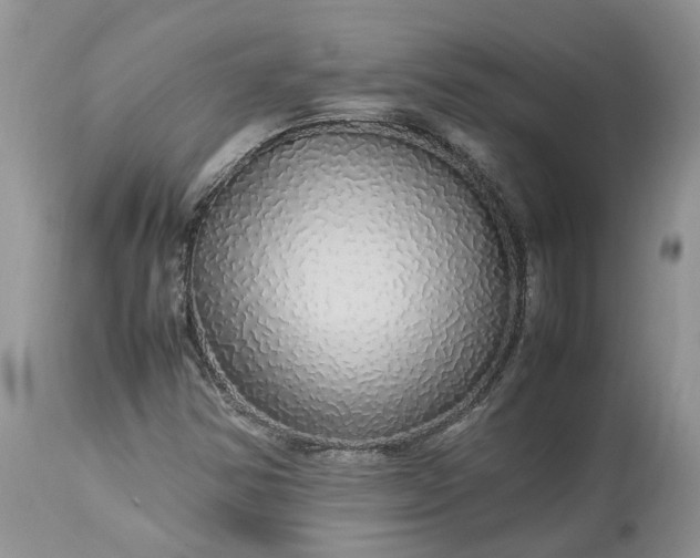 X0000113071354200909110930