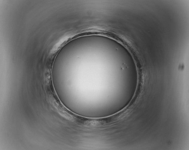 X0000113071355200909110930