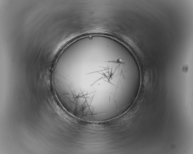 X0000113071356200909110930