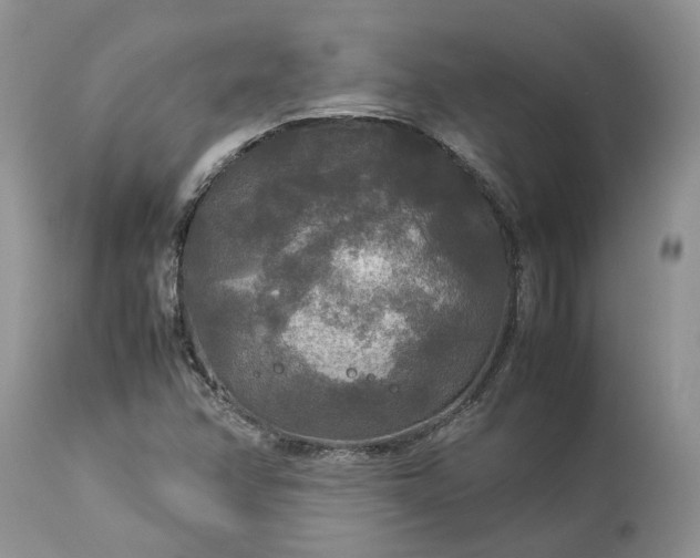 X0000113071358200909110930