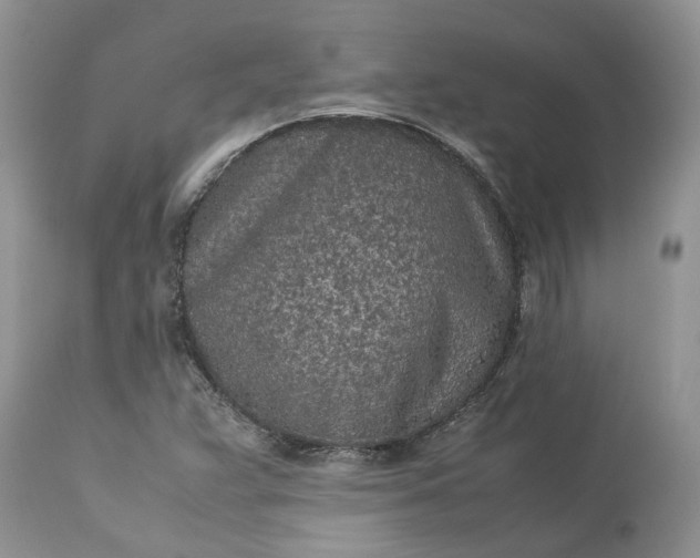 X0000113071359200909110930