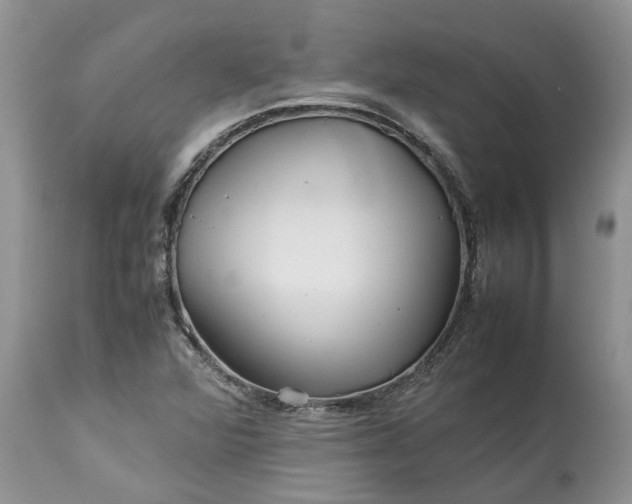 X0000113071360200909110930