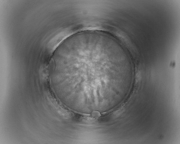 X0000113071361200909110930