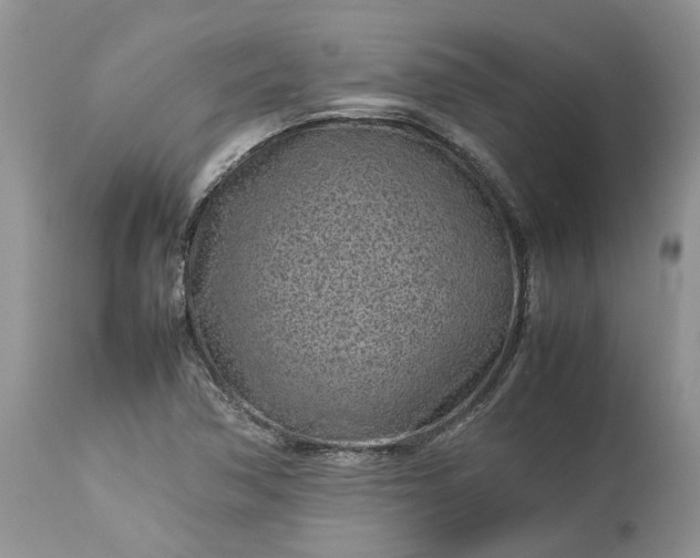 X0000113071362200909110930