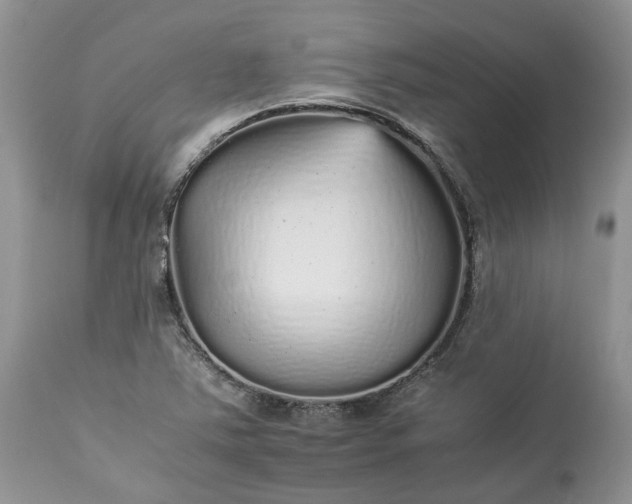 X0000113071363200909110930