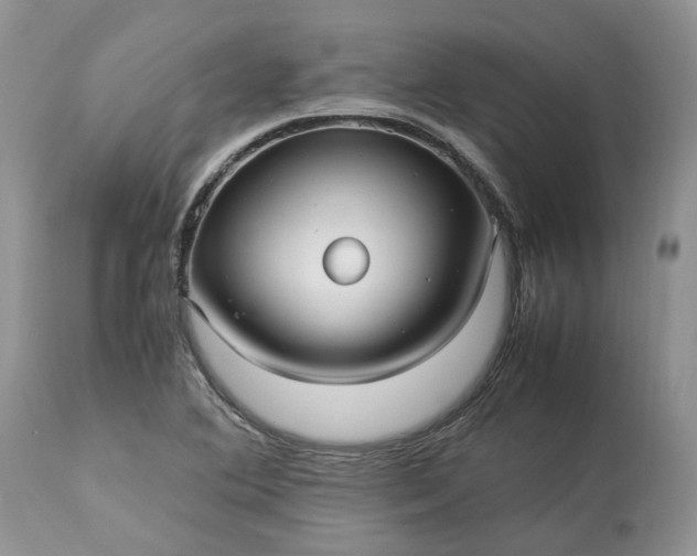 X0000113071364200909110930