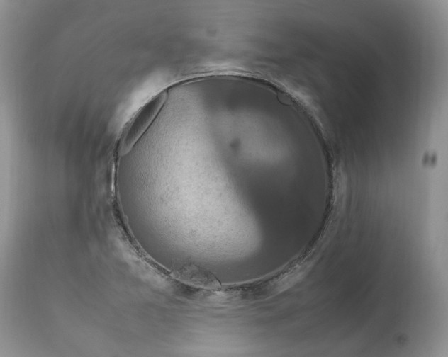 X0000113071365200909110930