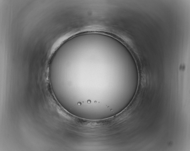 X0000113071366200909110930