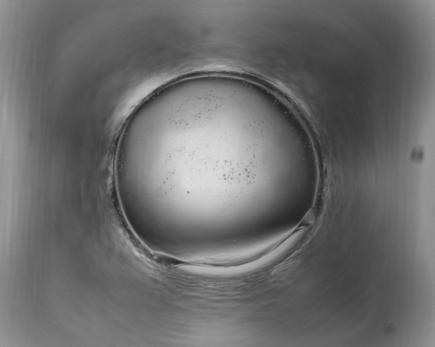 X0000113071367200909110930