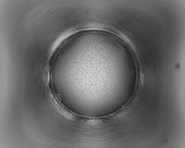 X0000113071368200909110930