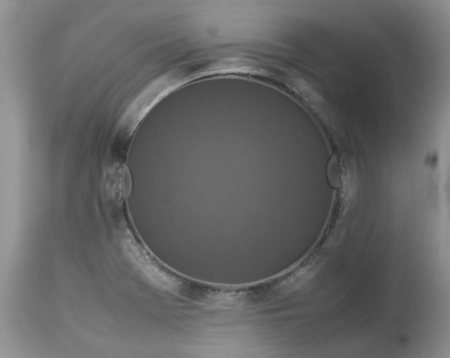 X0000113071369200909110930