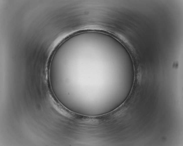 X0000113071372200909110930