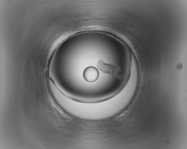 X0000113071373200909110930