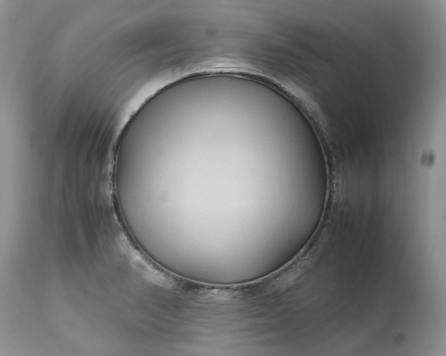 X0000113071374200909110930