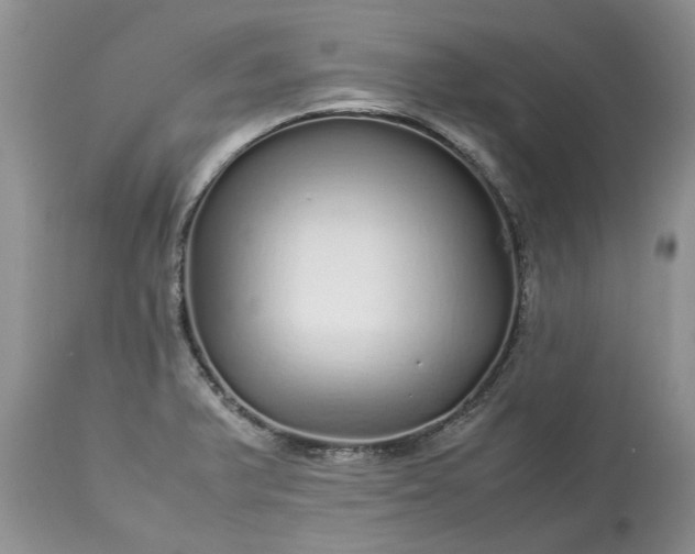 X0000113071375200909110930