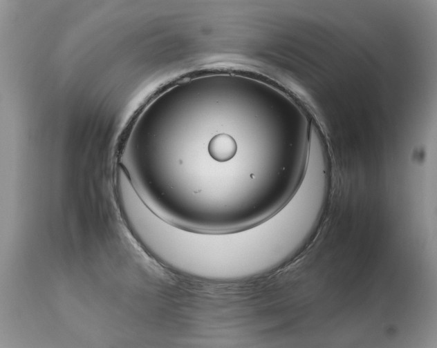 X0000113071376200909110930