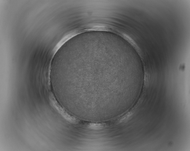 X0000113071378200909110930