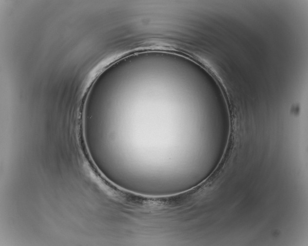 X0000113071379200909110930