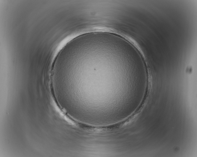 X0000113071381200909110930