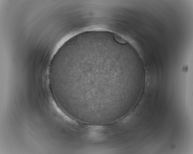 X0000113071382200909110930