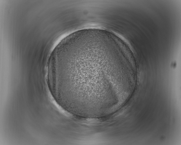 X0000113071383200909110930