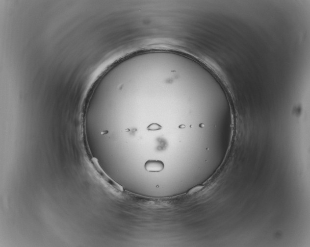 X0000113071384200909110930