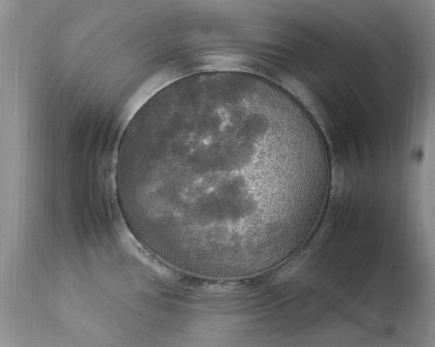 X0000113071386200909110930