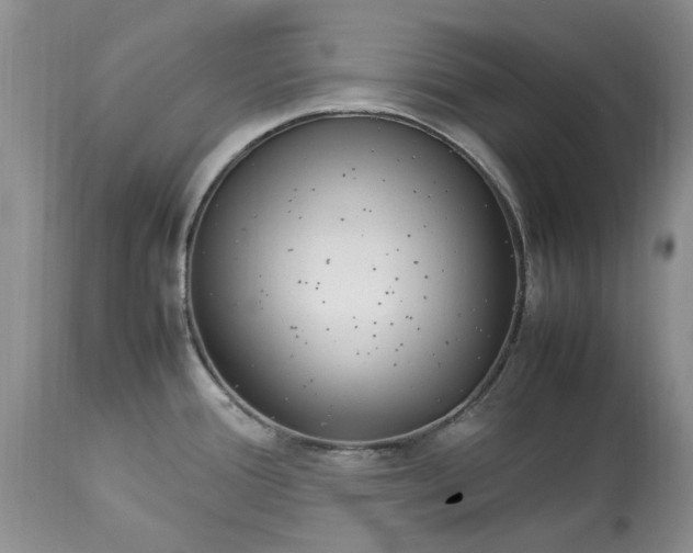 X0000113071388200909110930