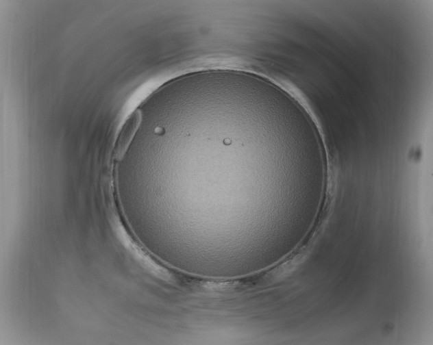 X0000113071389200909110930