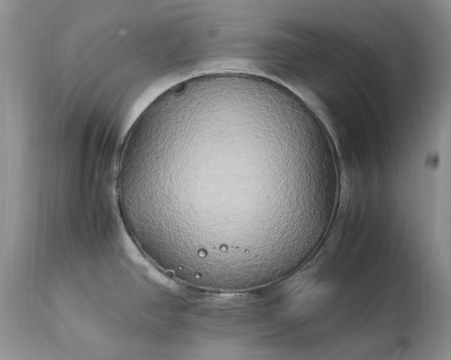 X0000113071390200909110930