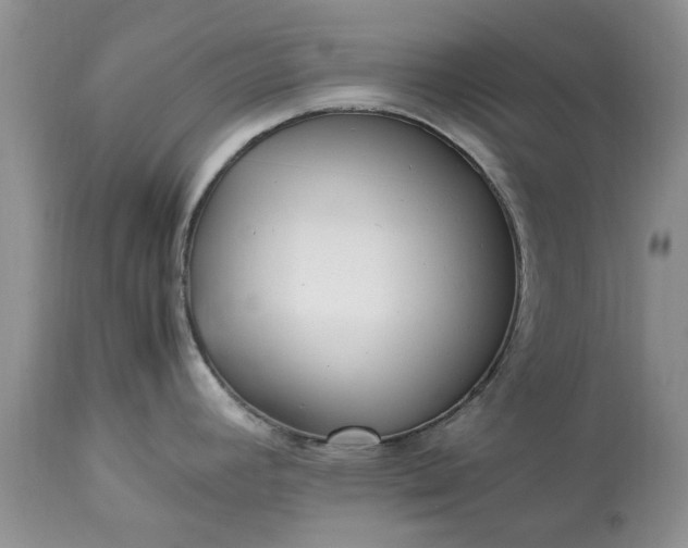 X0000113071392200909110930