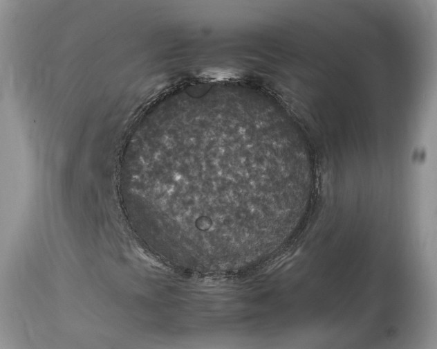 X0000113071393200909110929