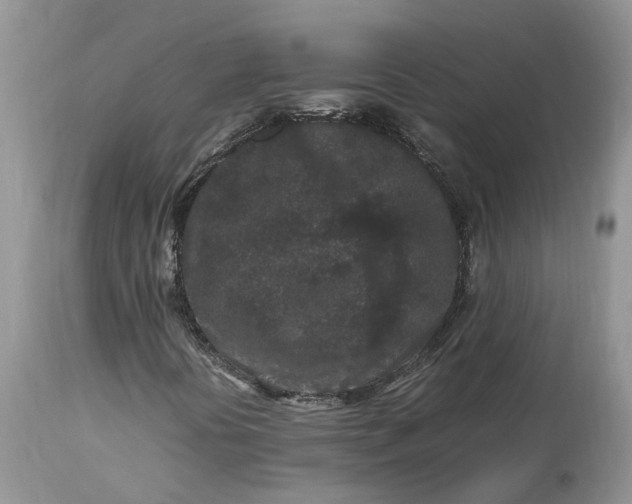 X0000113071394200909110929