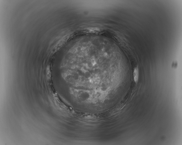 X0000113071395200909110929