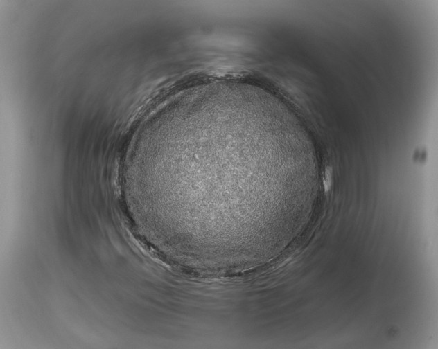 X0000113071396200909110929