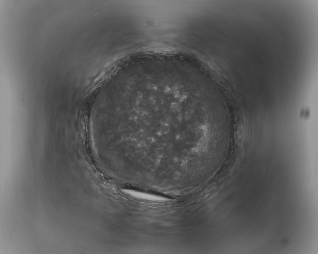 X0000113071397200909110929