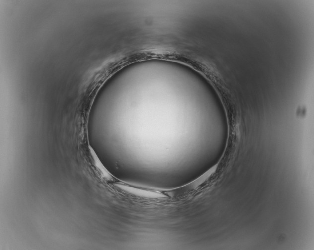 X0000113071398200909110929