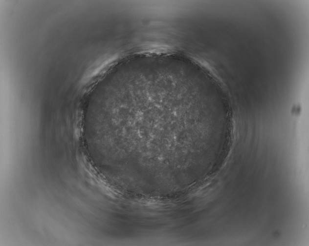 X0000113071399200909110929